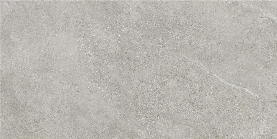 CAN5AREIDD1A На пол Arenite Grey MT 60x120