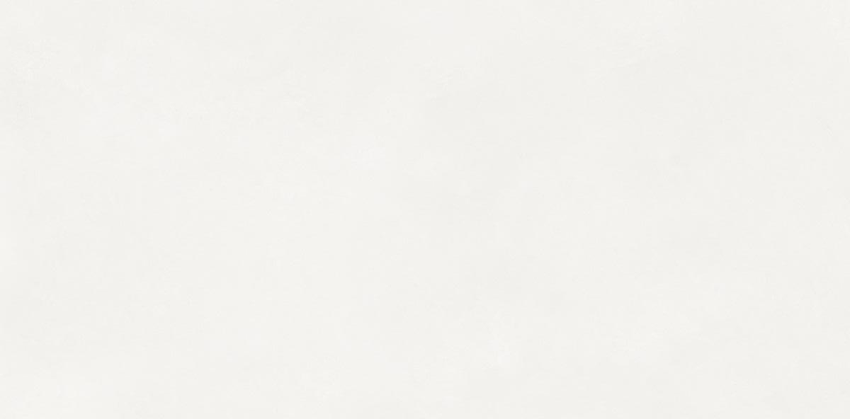 N110011 На пол Loft Aston White Matt 60x120 - фото 4