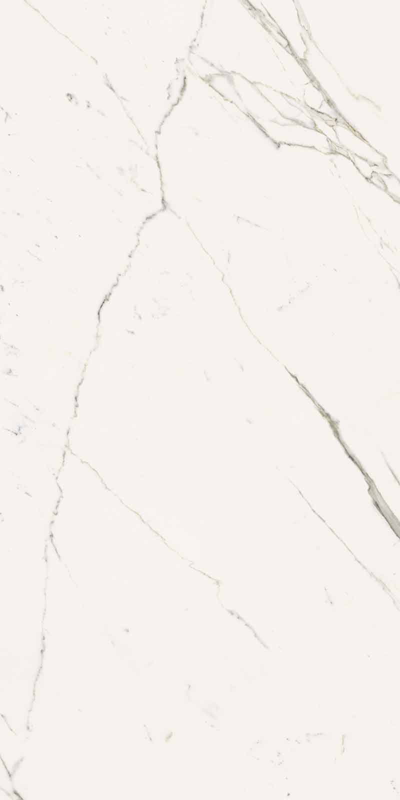 2A39 На пол Elements Lux Calacatta Statuarietto Lap RT 60x120 - фото 8