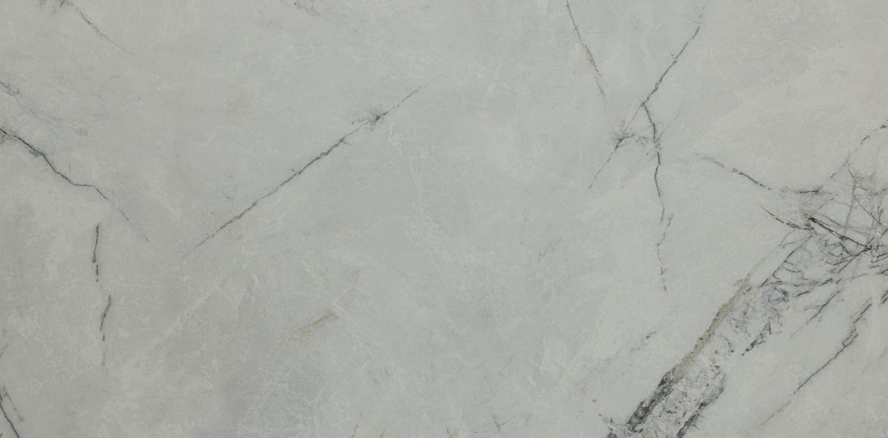 TC126496DS На пол Matt Porcelain Матовая 60x120