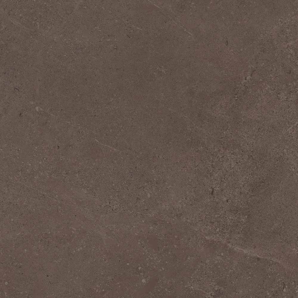 GO03/NS_R9/60x60x10R/GC На пол Gobi GO03 Brown Grey неполированный 60x60 - фото 6