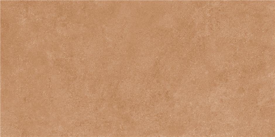 CAN5DETRKDPA На пол Detroit Cotto MT Rect 60x120