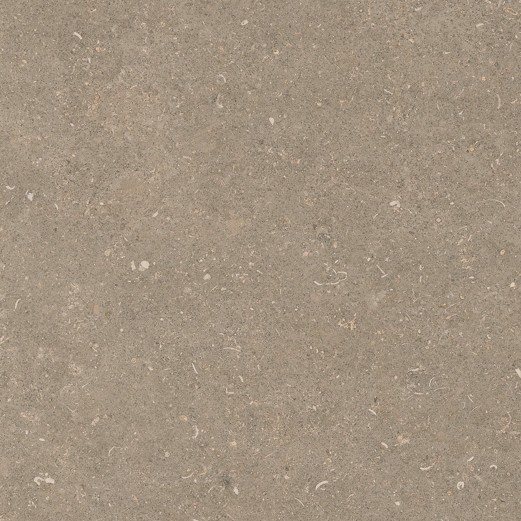 785486 На пол Rinascenza Arena Pietra Matte 60x60 - фото 8