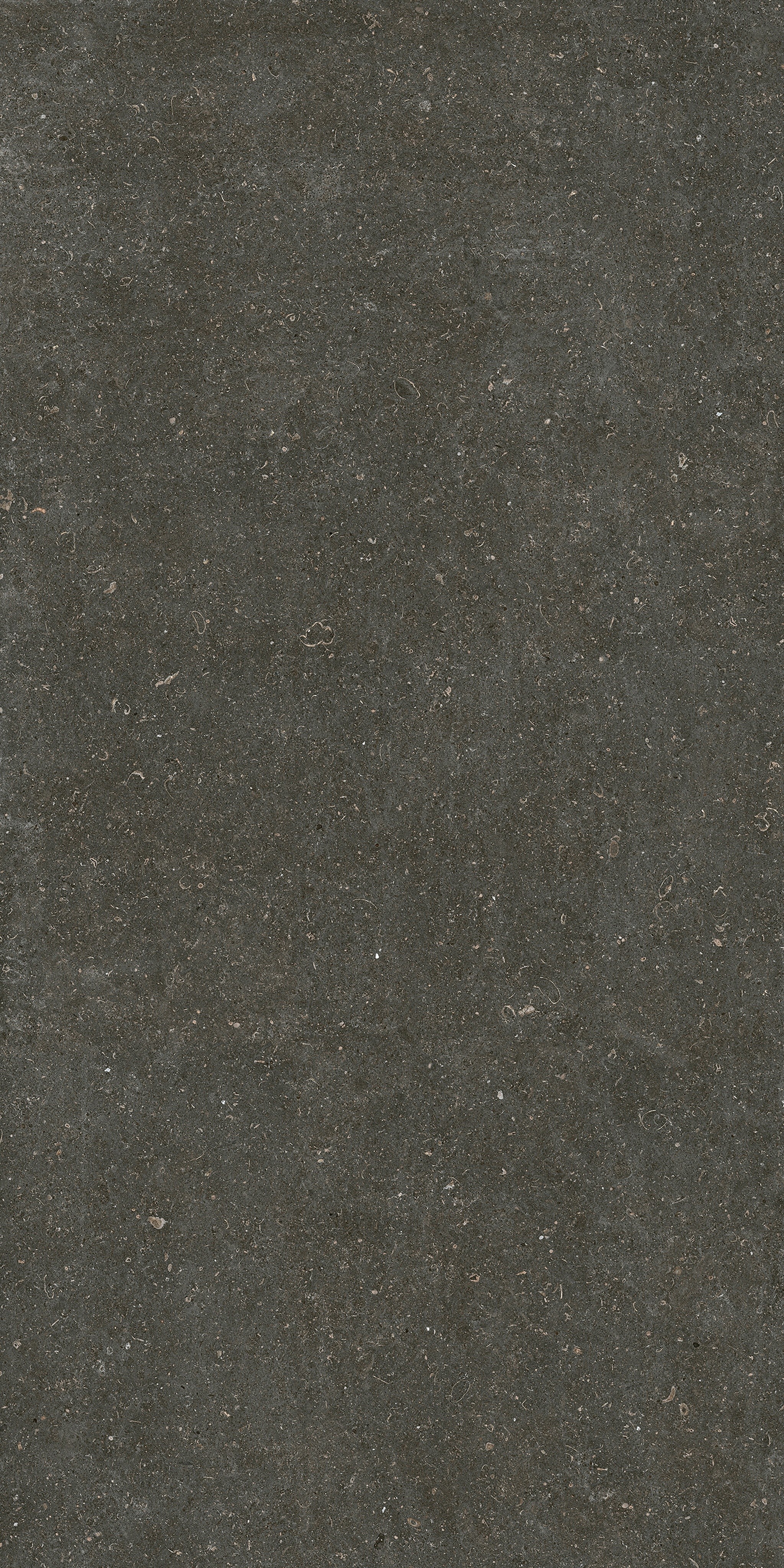 785585 На пол Rinascenza Arena Platino Matte 6mm 120x240