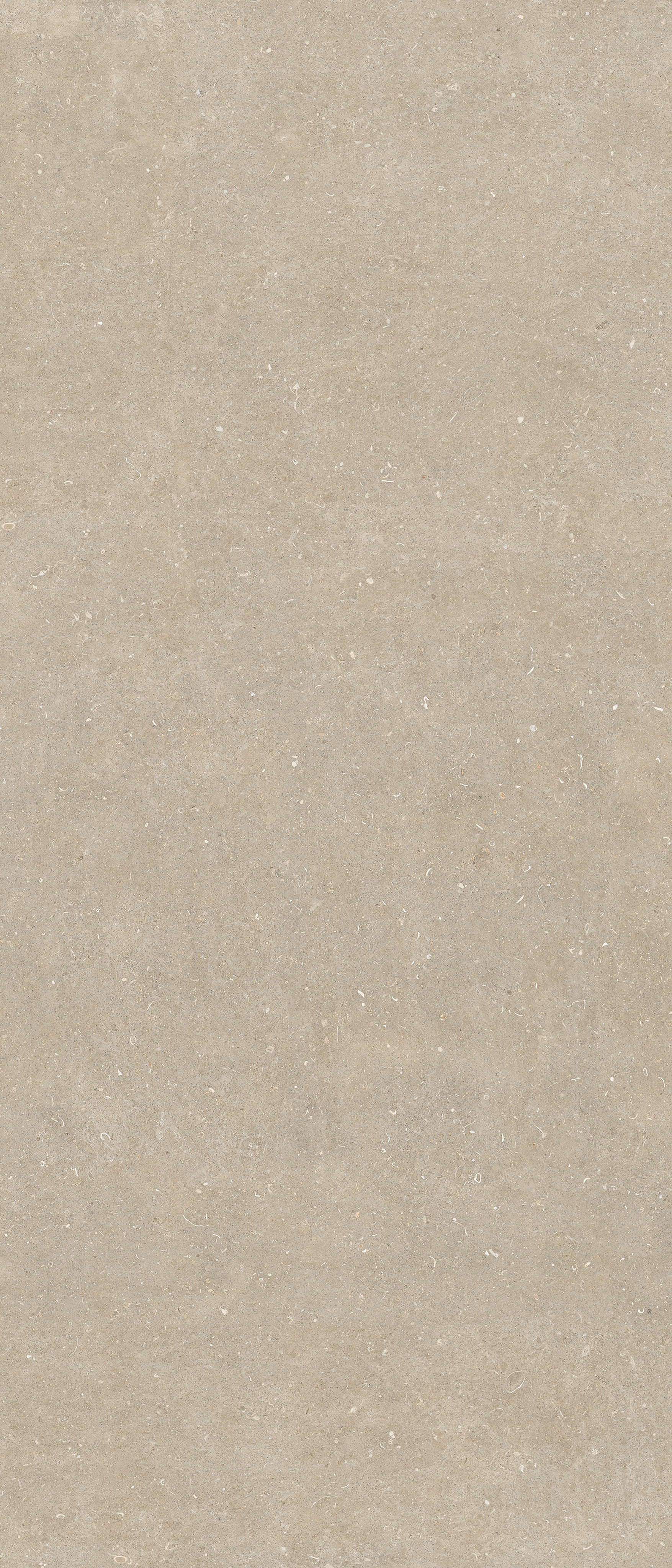 785571 На пол Rinascenza Arena Conchiglia Matte 6mm 120x280 - фото 3