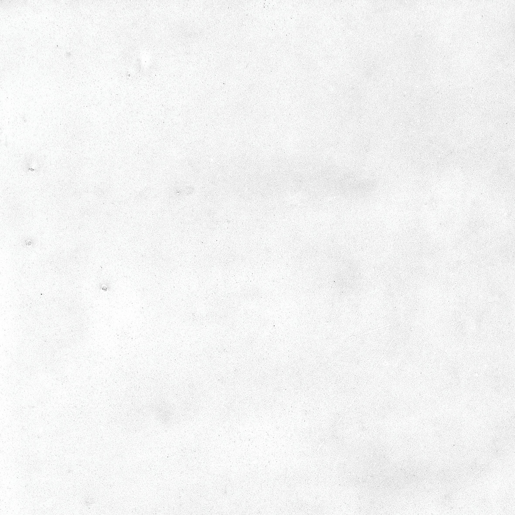 40850 На стену Afra White/R 10.7x10.7 - фото 25