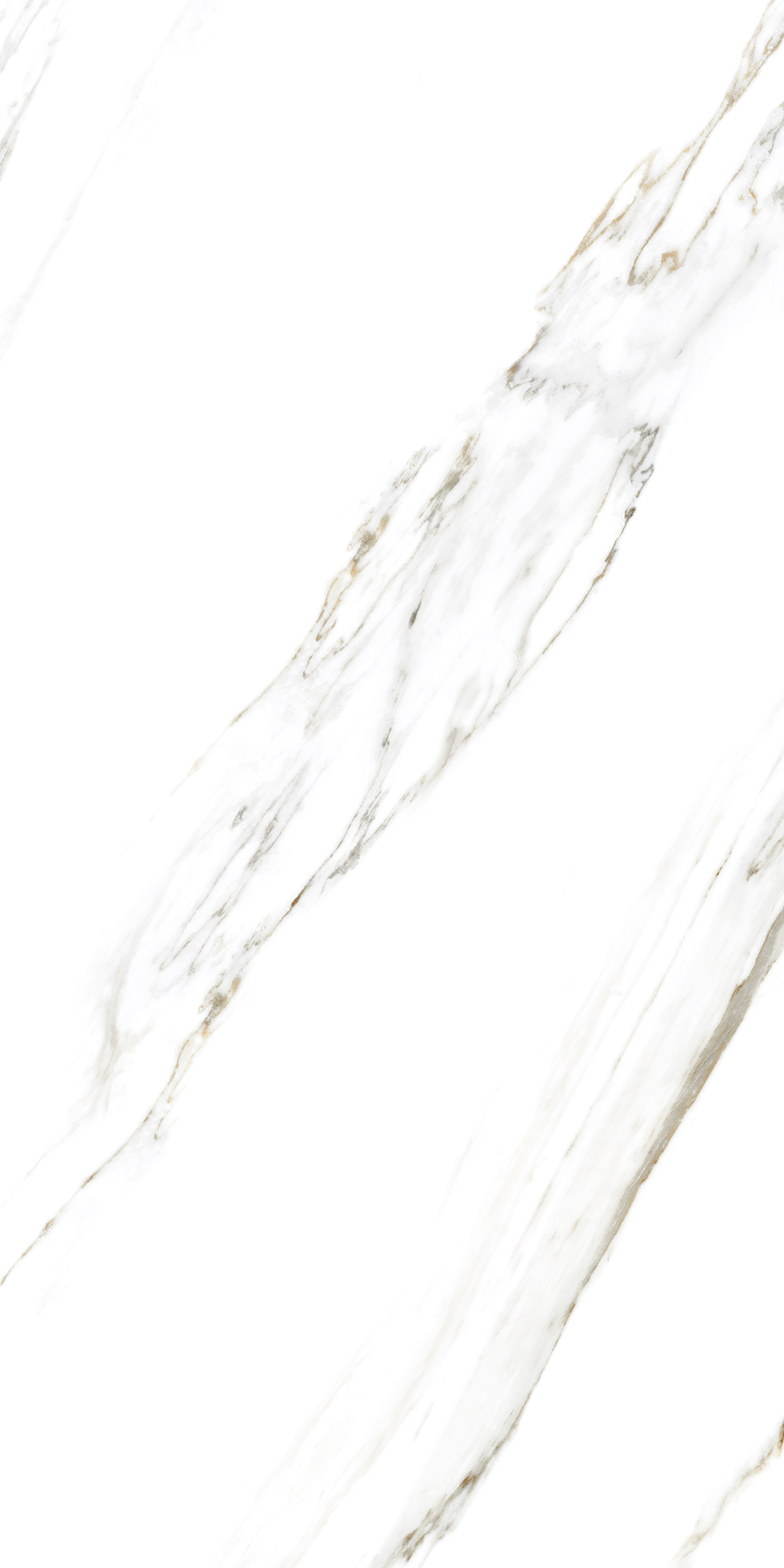 885  Напольный Marble 5.5mm Calacatta Caldia 120x60 - фото 4