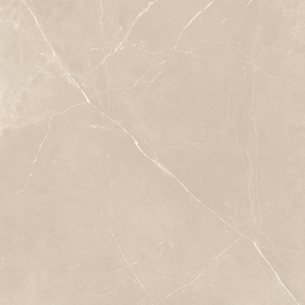 NL01/PS_NC/60x60x10R/GW На пол Nolana NL01 Beige Полированный Рект. 60x60x10 - фото 5