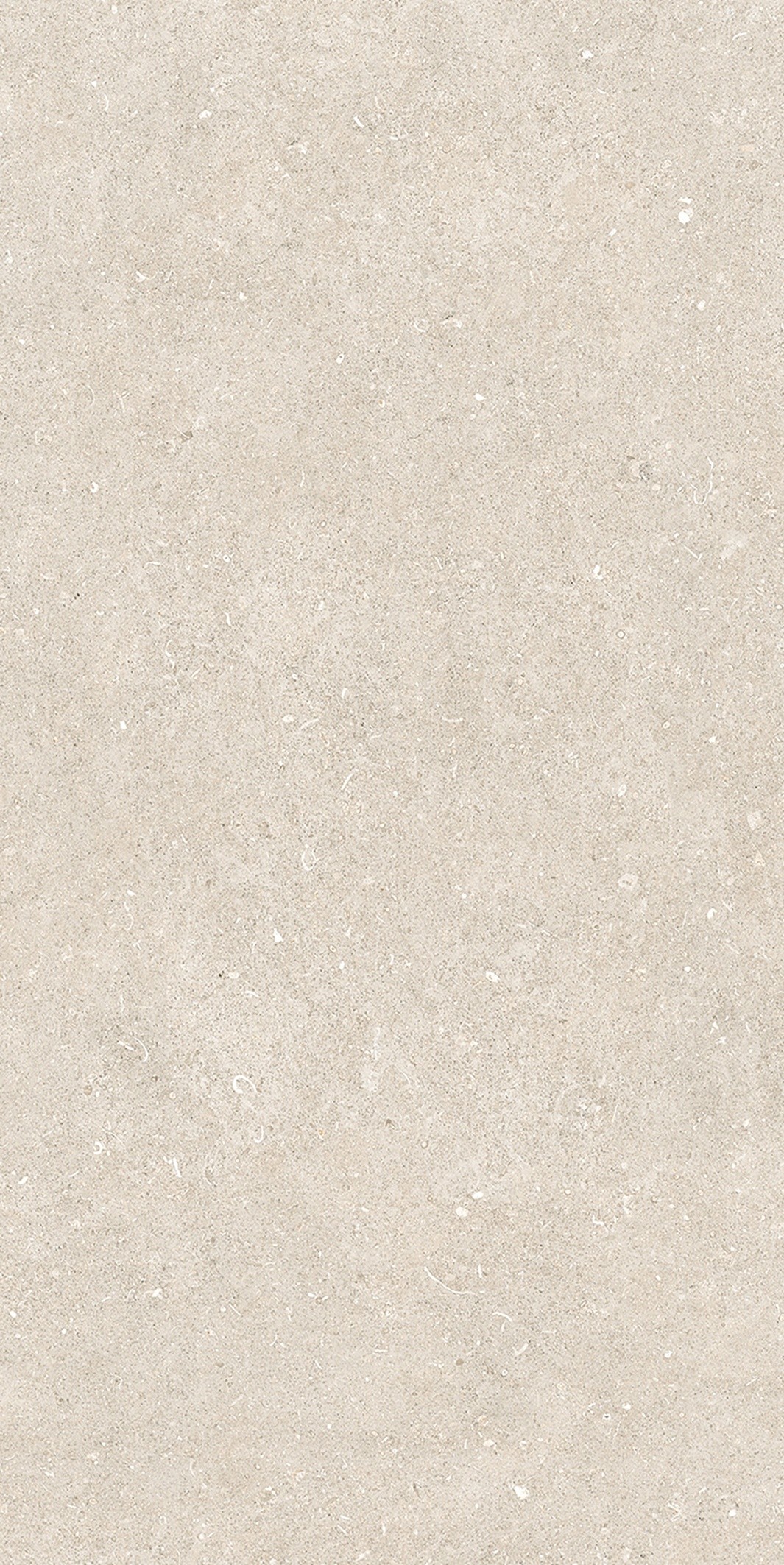 785574 На пол Rinascenza Arena Bianco Antico Matte 6mm 60x120 - фото 4