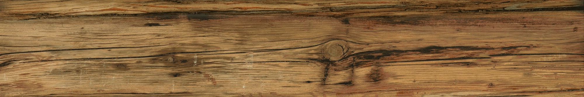 38953 На пол Fs Wild AS/19.5X121X0.9/C/R - фото 12