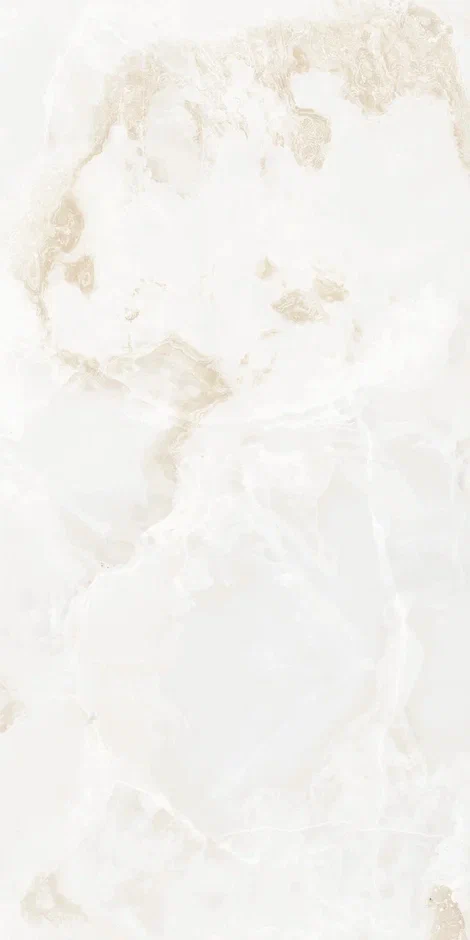 QI612P6701M  На пол Onix Astral Polish 60x120 - фото 12