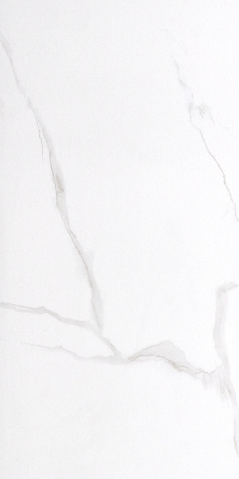 BK126NTT9402P На пол Marmori Белый 60x120 - фото 6