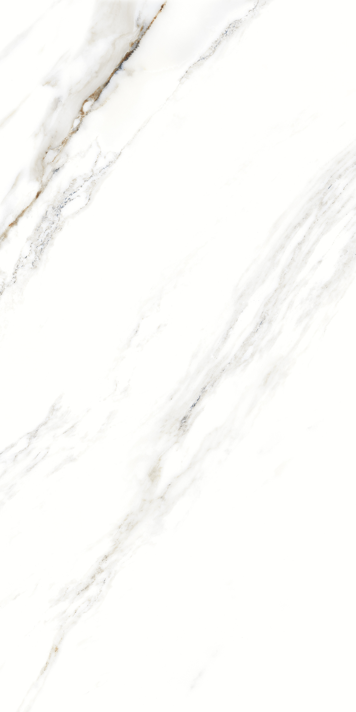 893  На пол Marble 5.5mm Fantastic White 120x60 - фото 7