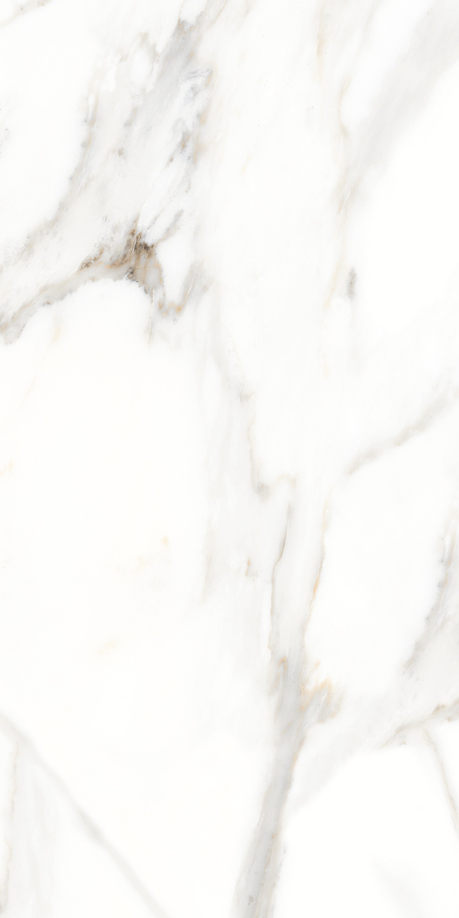 На пол Mix Cararra Gold PGVT 60x120 - фото 2