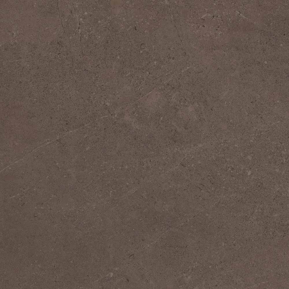 GO03/NS_R9/60x60x10R/GC На пол Gobi GO03 Brown Grey неполированный 60x60