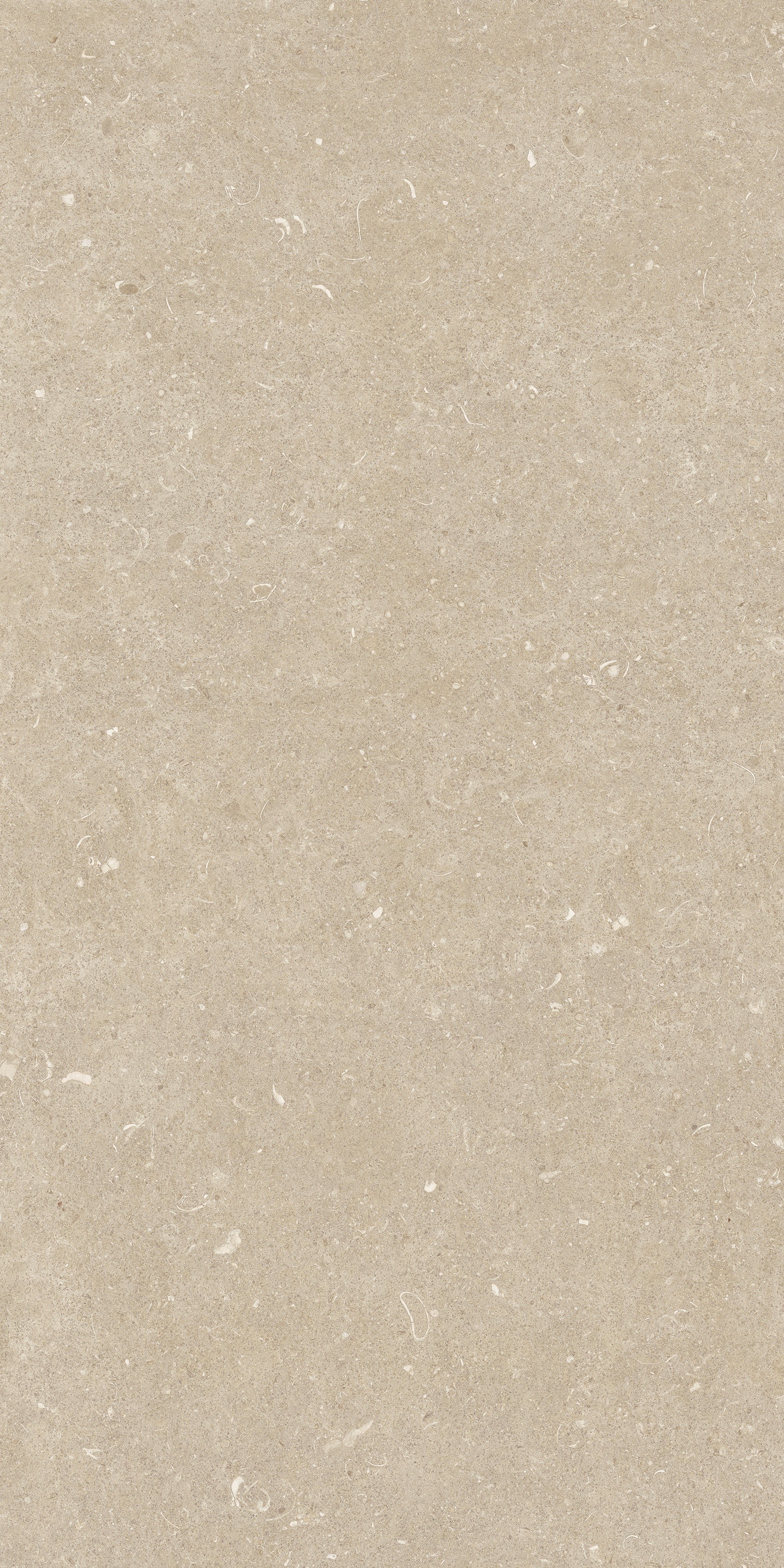 785509 На пол Rinascenza Arena Conchiglia Grip 20mm 60x120 - фото 10