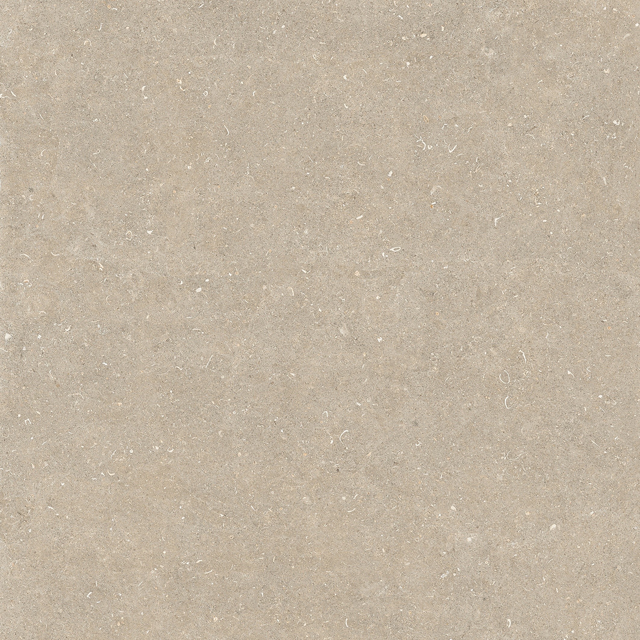 785579 На пол Rinascenza Arena Conchiglia Matte 6mm 120x120 - фото 2