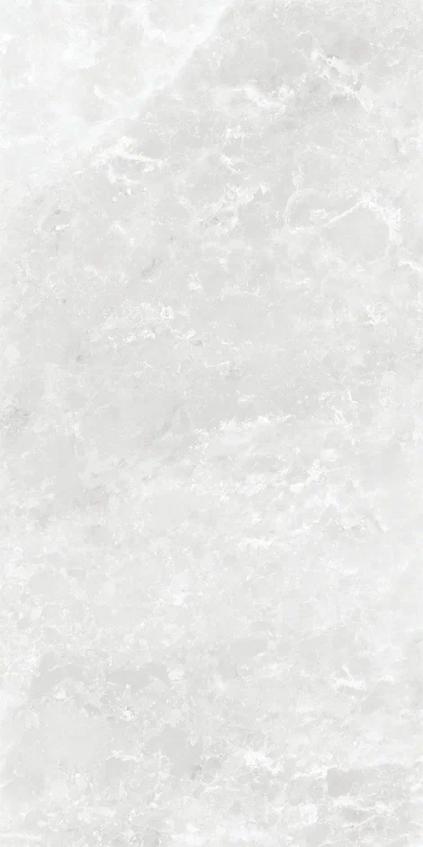 QI612S4090M  На пол Elf Stone Polish 60x120 - фото 5