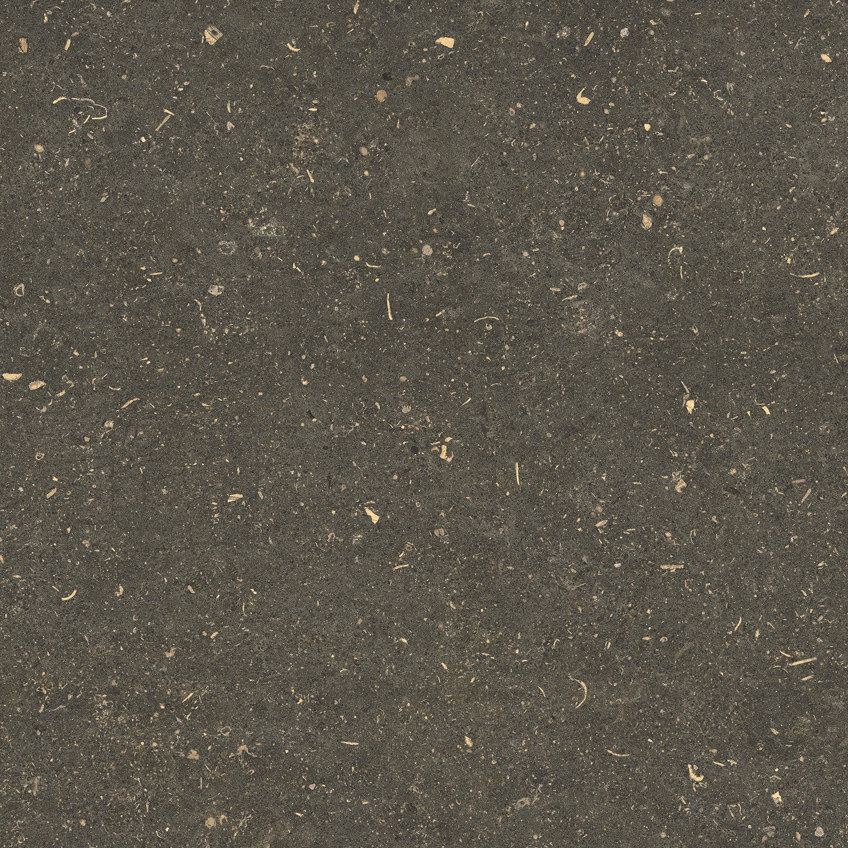 785487 На пол Rinascenza Arena Platino Matte 60x60 - фото 8