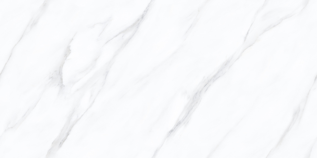 P4110821139 На пол Stellar White Carving 60х120