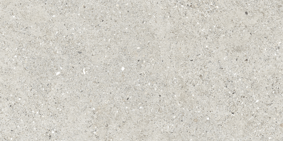 CR6012G0471R На пол Granito Grigio серый матовый 59.5х119.1