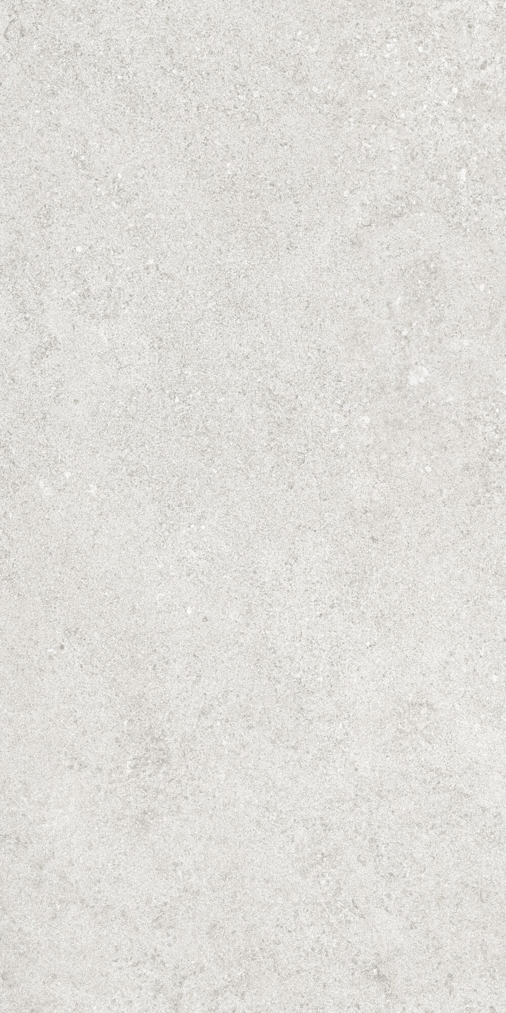 36904 На пол Cluny Silver 4D/50X100X2/A/R 50x100