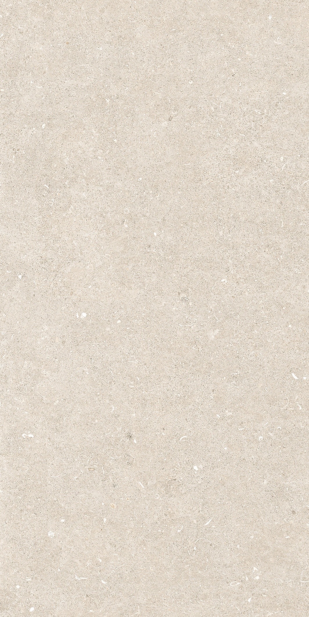 785574 На пол Rinascenza Arena Bianco Antico Matte 6mm 60x120 - фото 5