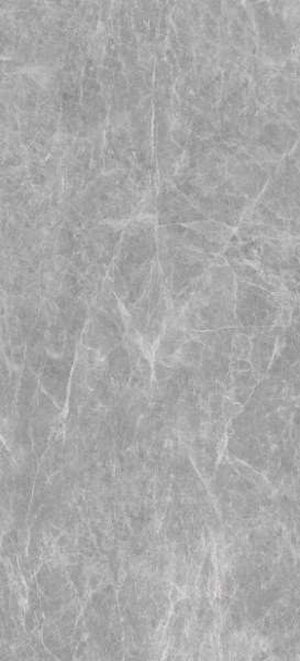 MN227AP261206 На пол Iron Grey Polished 6mm 120x260 - фото 2