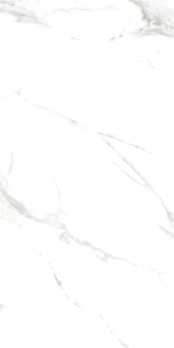 P15006 На пол Royal Marble White Polished Rect 10.3mm 60x120 - фото 2