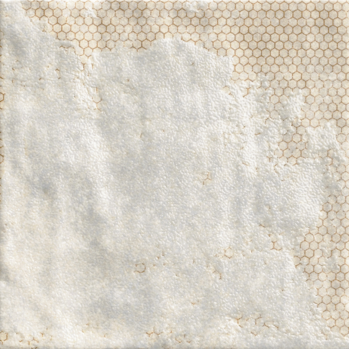 PT02793 На стену Anticatto White - фото 4