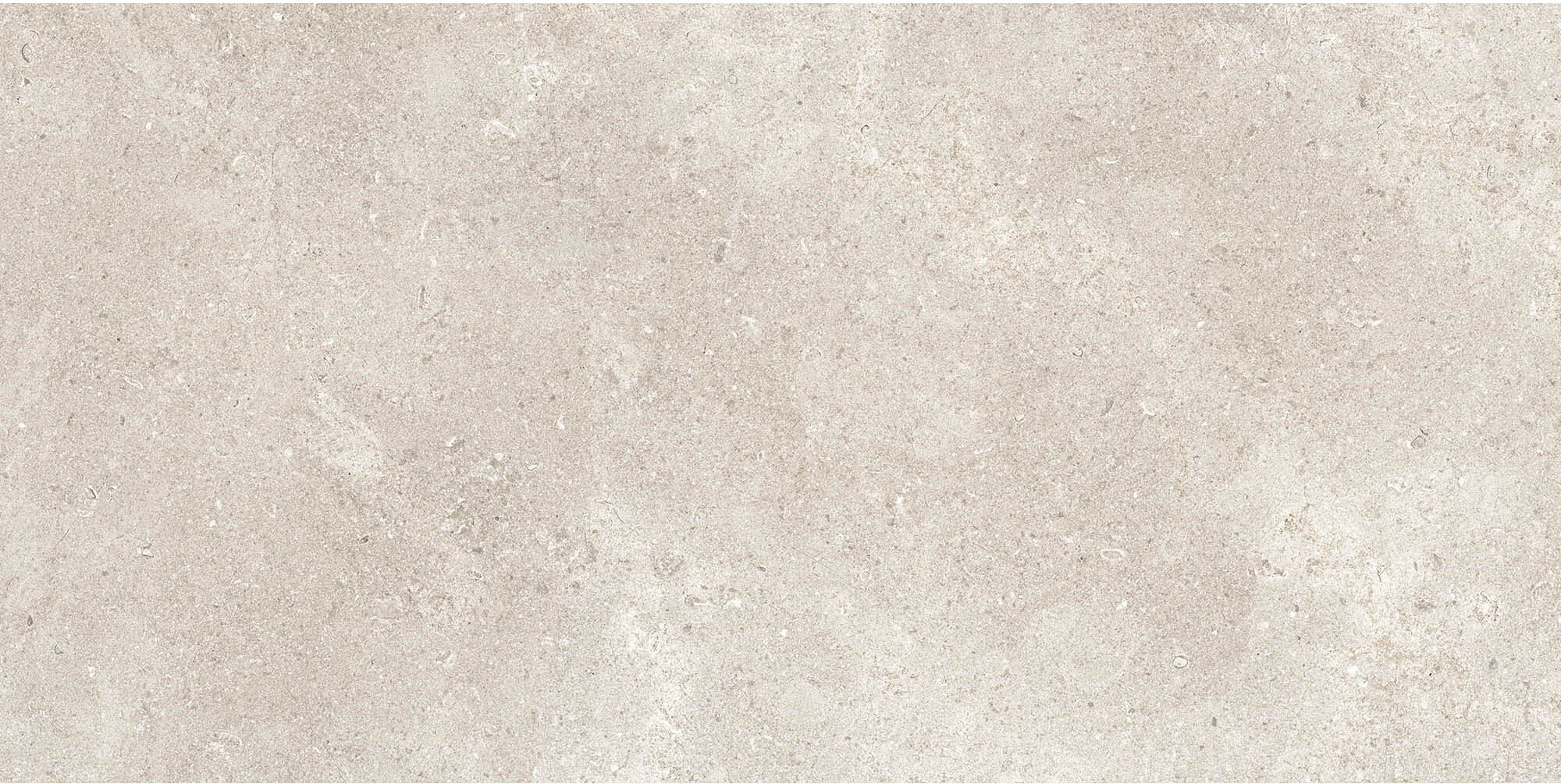 RB91 На стену Coquille Champagne Matt-Pro Rett 60x120