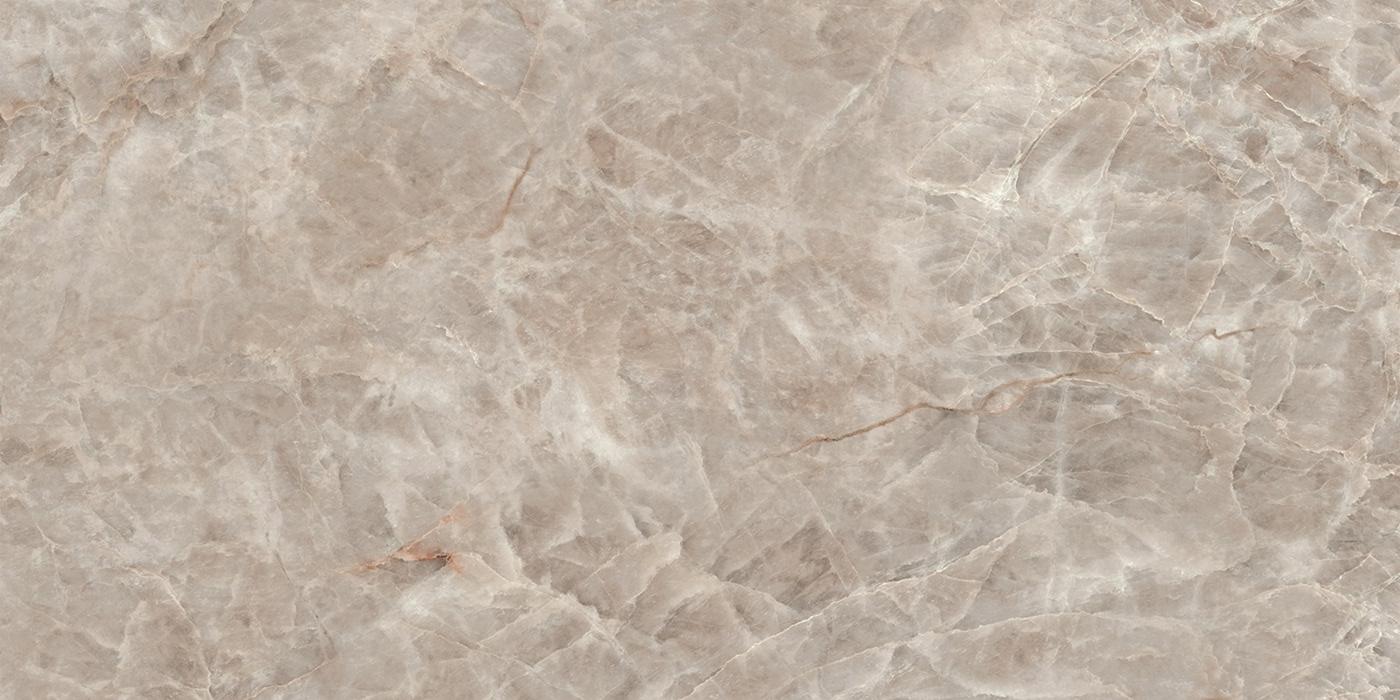 PP-02-781-1198-0598-1-004 На пол Root Grey Mat 119.8x59.8 - фото 4
