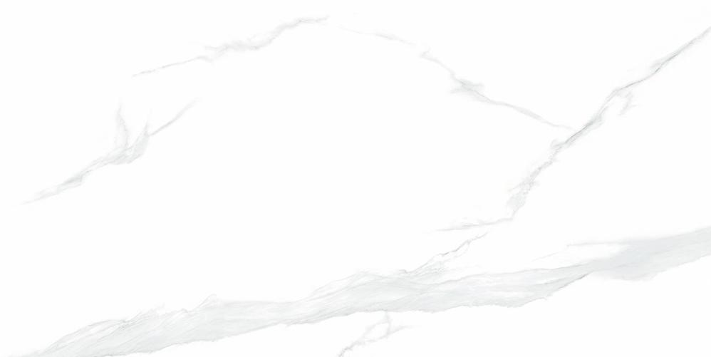 NTT9106P  На пол Bright And Shiny Statuario 60x120 - фото 2