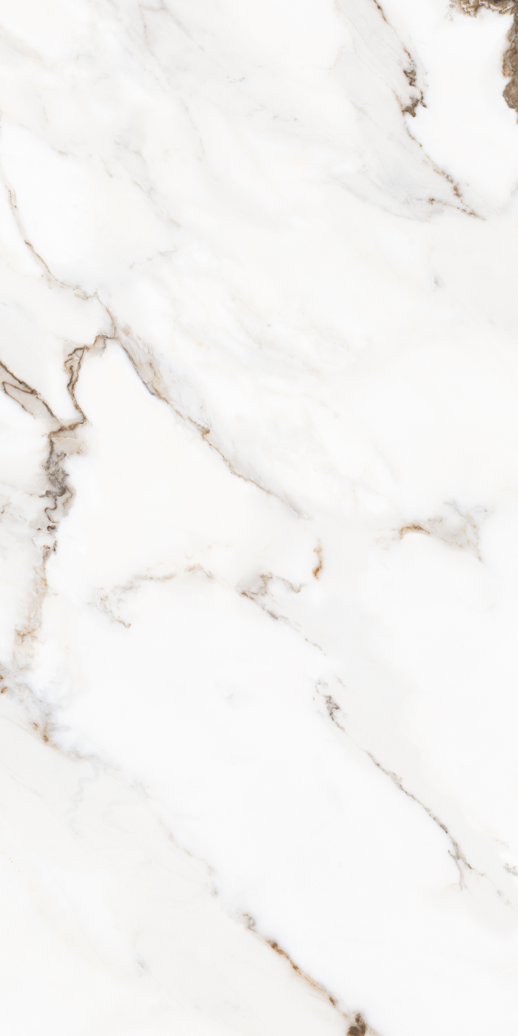 На пол Royal Statuario Glossy 60х120