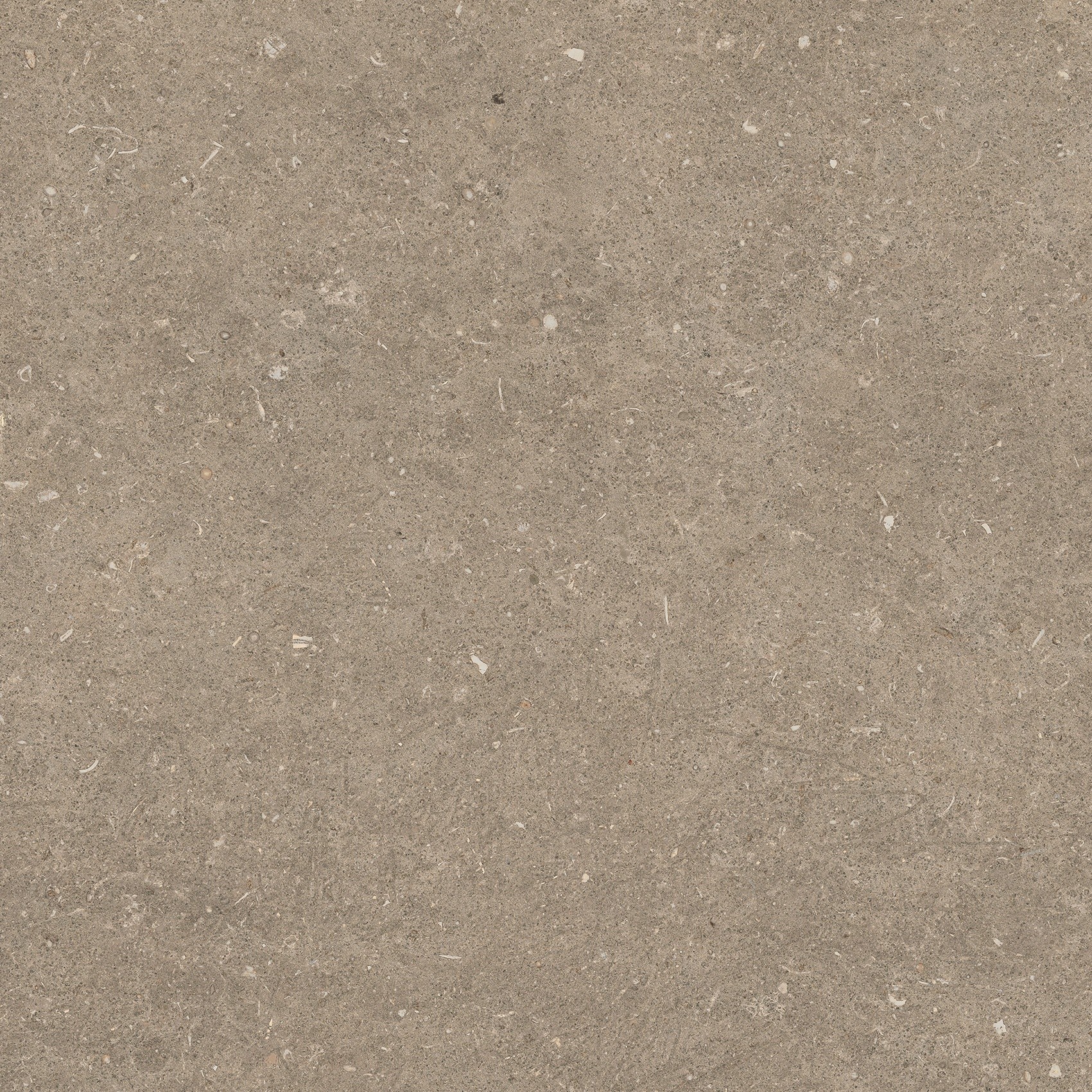 785486 На пол Rinascenza Arena Pietra Matte 60x60 - фото 9