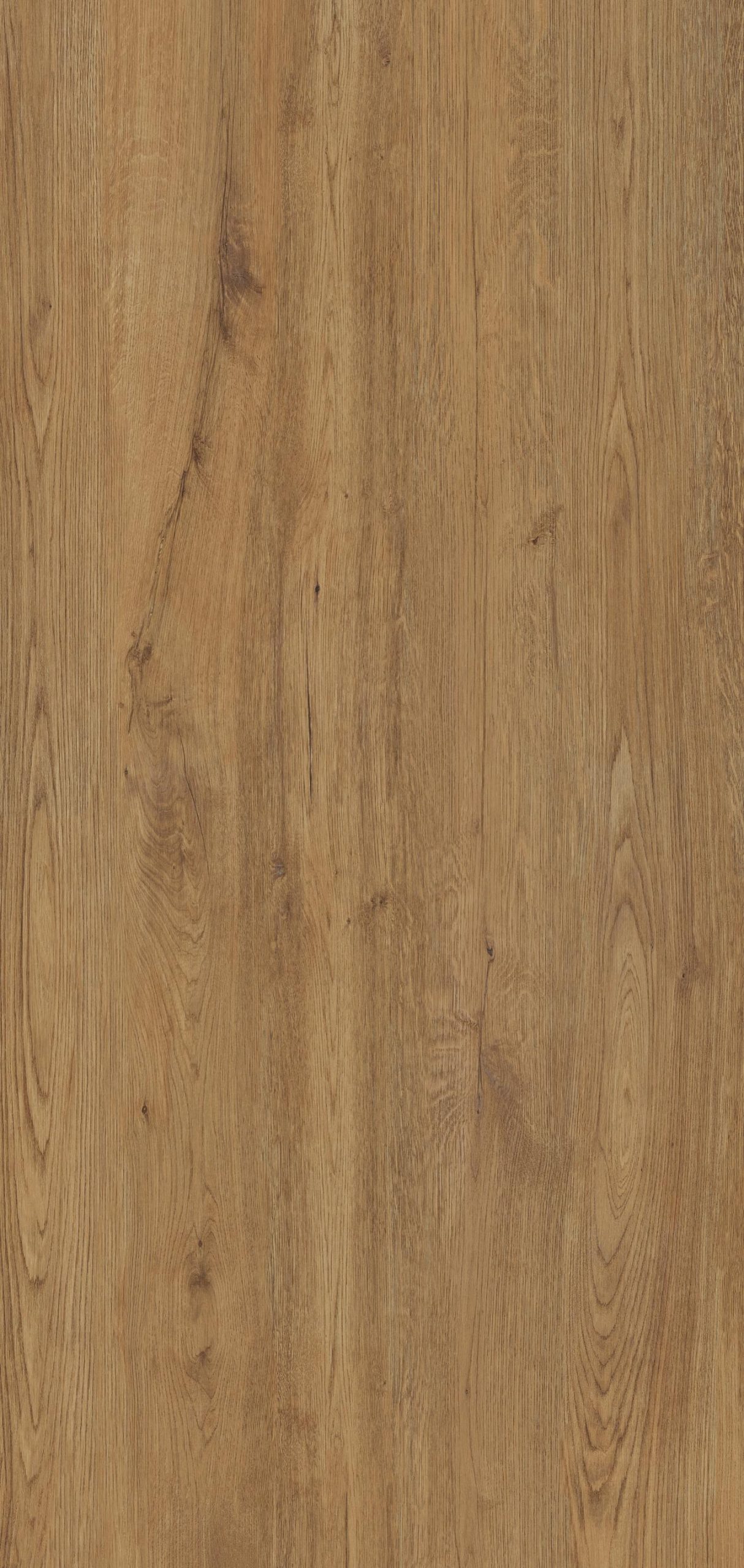 80JG21E На пол Jungla Iroko 5.6mm 120x360