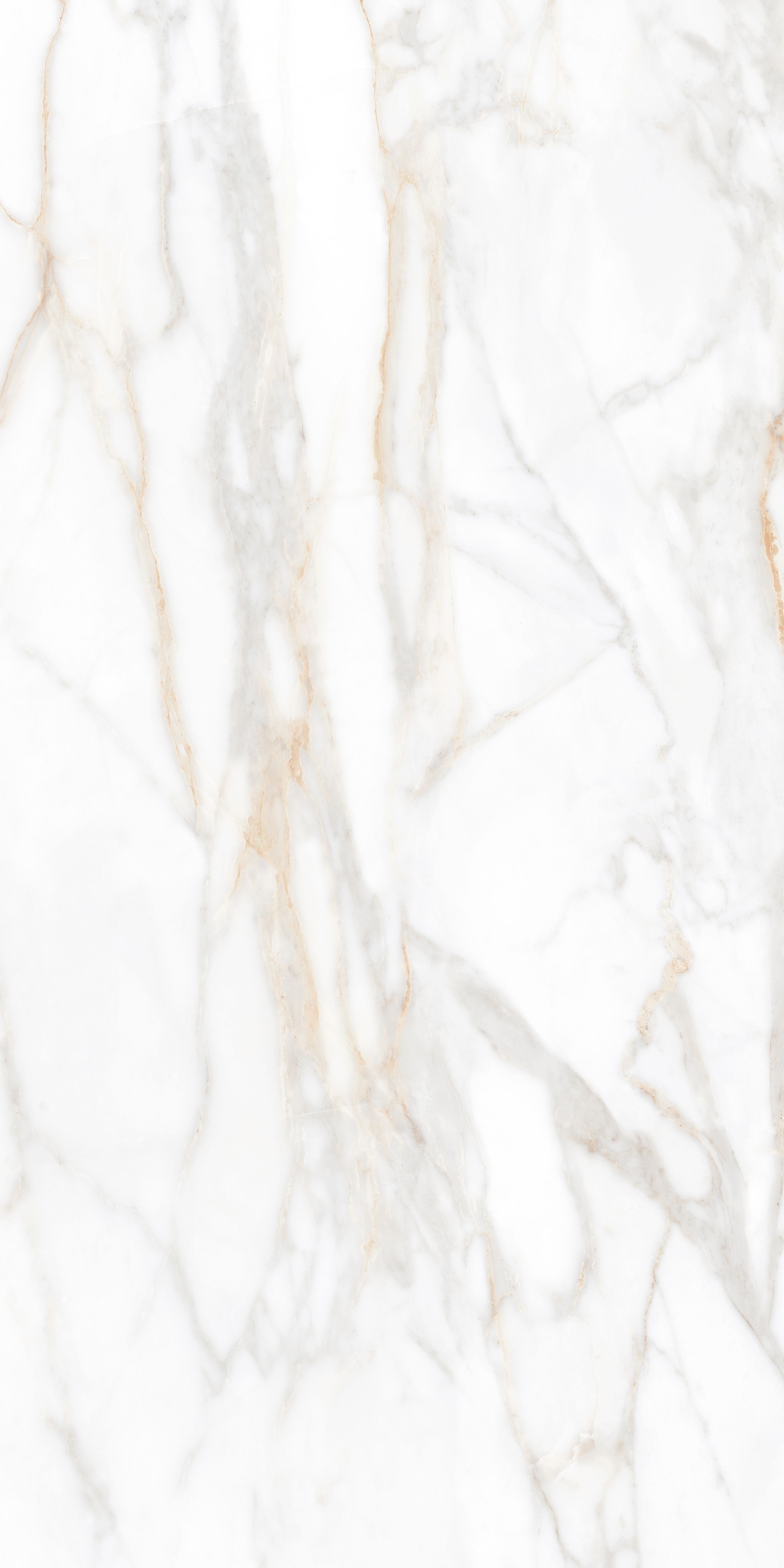 SM02/PS_R9/60x120x9R/GW На пол Supreme SM02 Gold Полированный 60x120x9 - фото 6