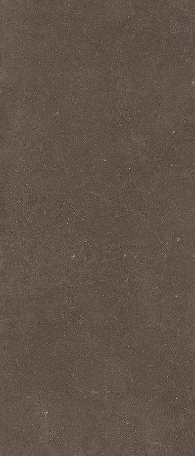 PV004 На пол Pierre Vive Brionne Noble 6 mm 120x280