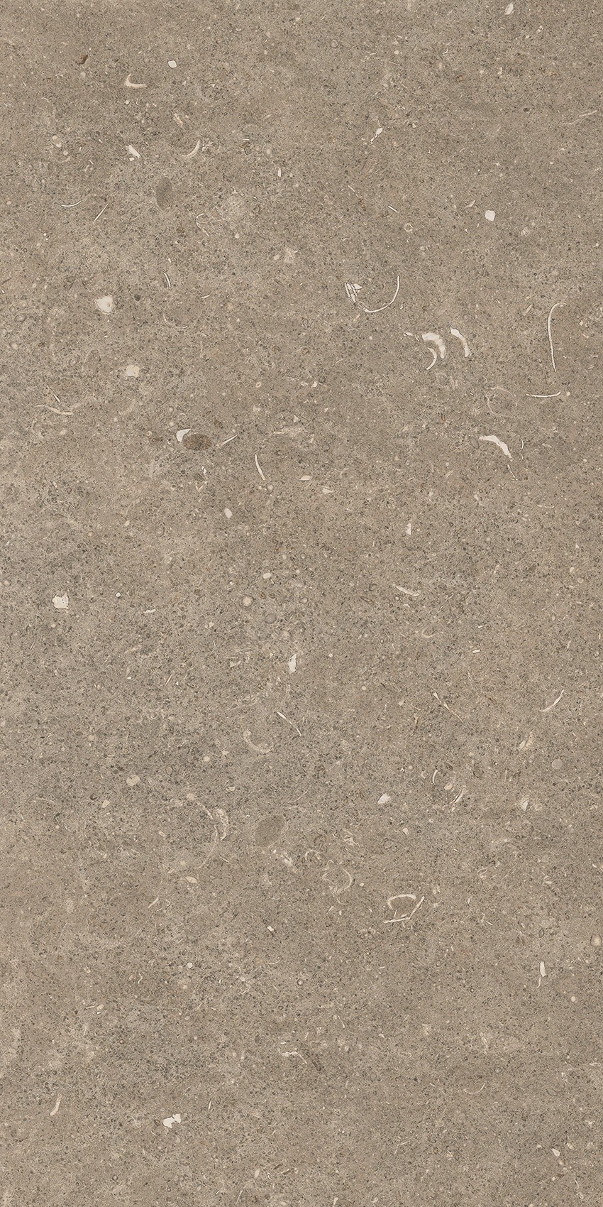 785490 На пол Rinascenza Arena Pietra Matte 30x60 - фото 2