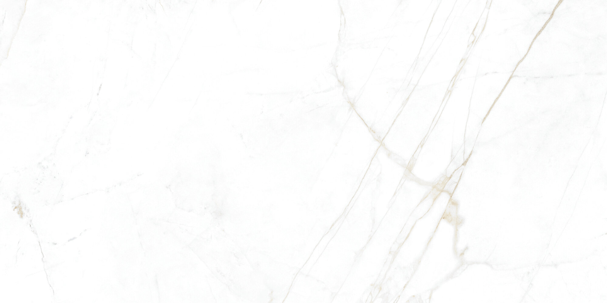 31741 На пол Museum Dual White EP 60x120