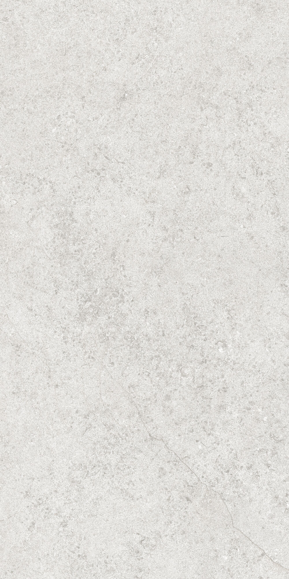 36904 На пол Cluny Silver 4D/50X100X2/A/R 50x100 - фото 12