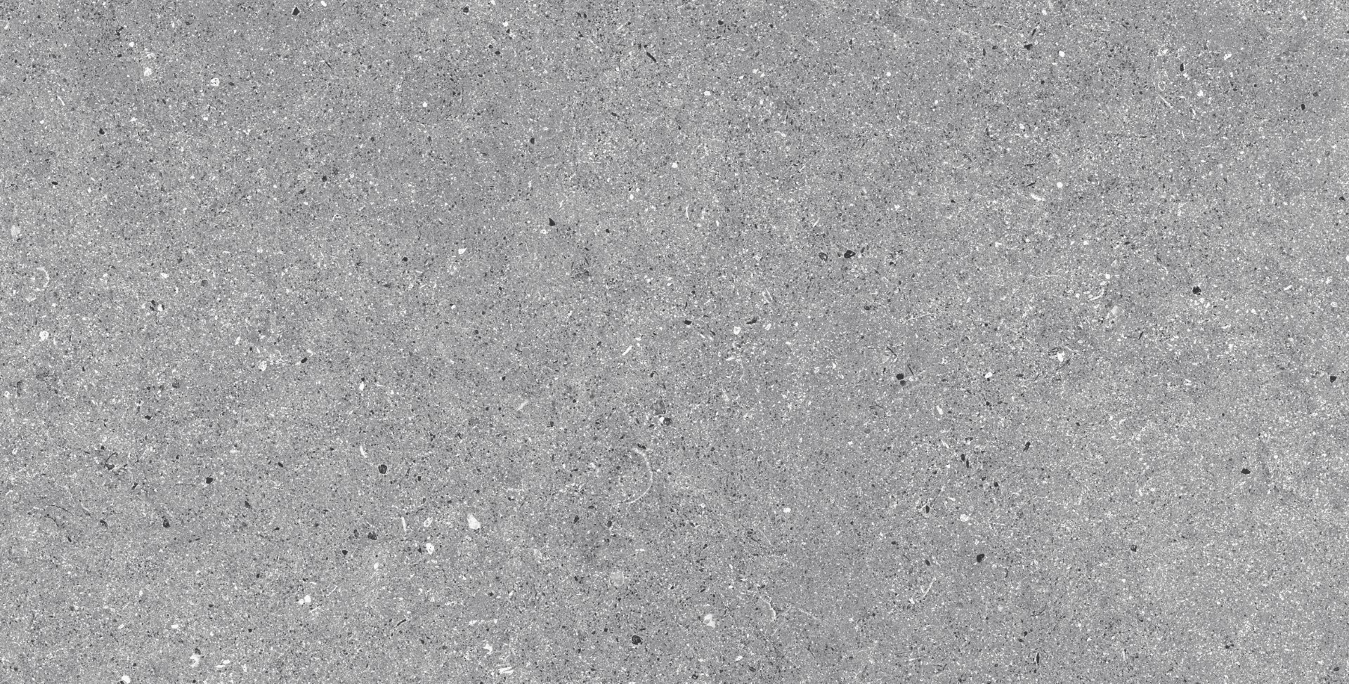 CE3366 На пол Terrace Antislips Natural Series Cement Grey 33х66 - фото 2