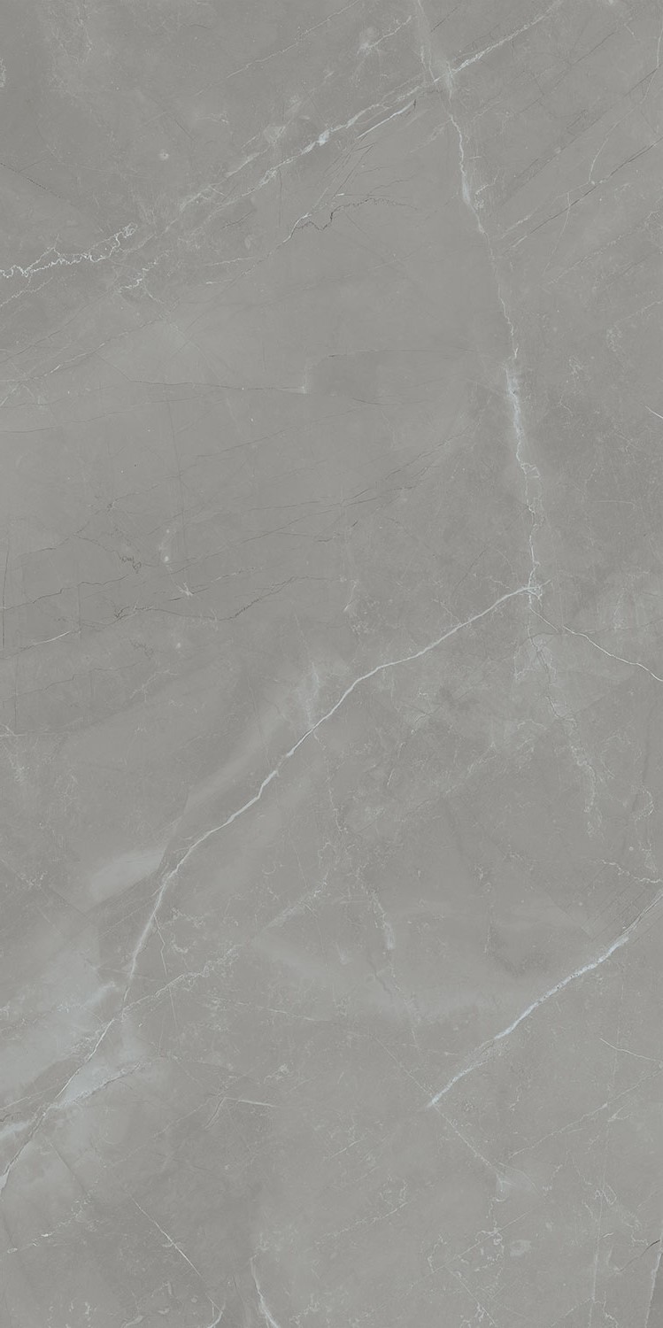 PP-06-358-1198-0598-1-034 На пол Grey Pulpis Sat 119.8x59.8 - фото 2