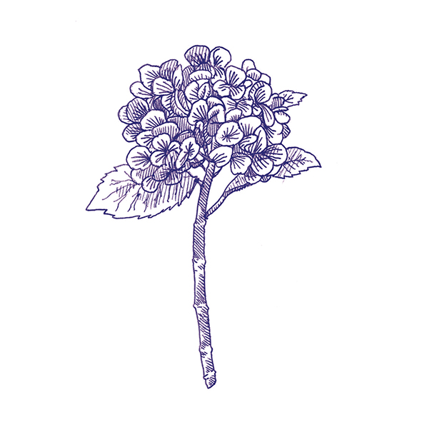 4101303 Декор Stories Eddie Matte 10x10 - фото 10