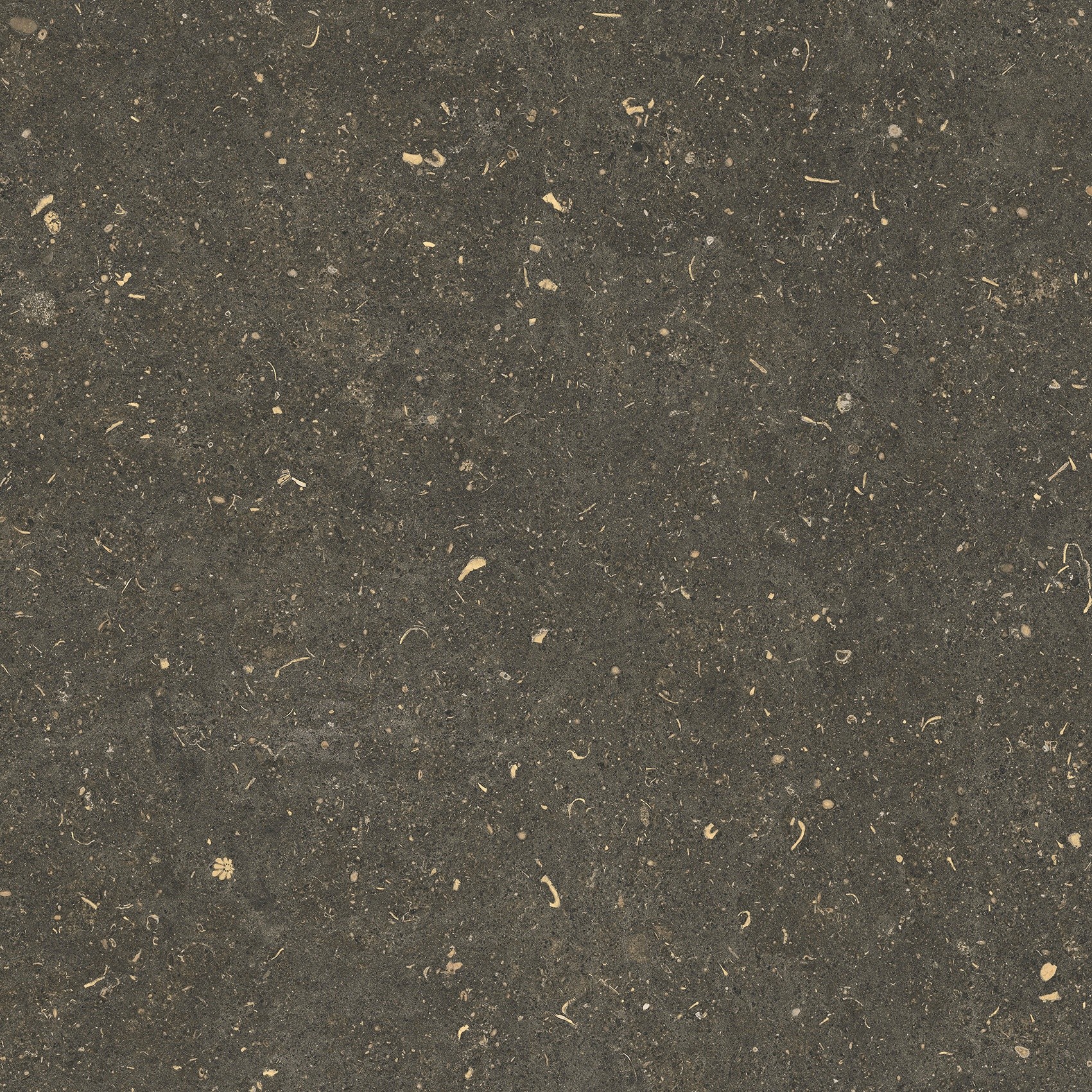 785499 На пол Rinascenza Arena Platino Grip 60x60 - фото 8