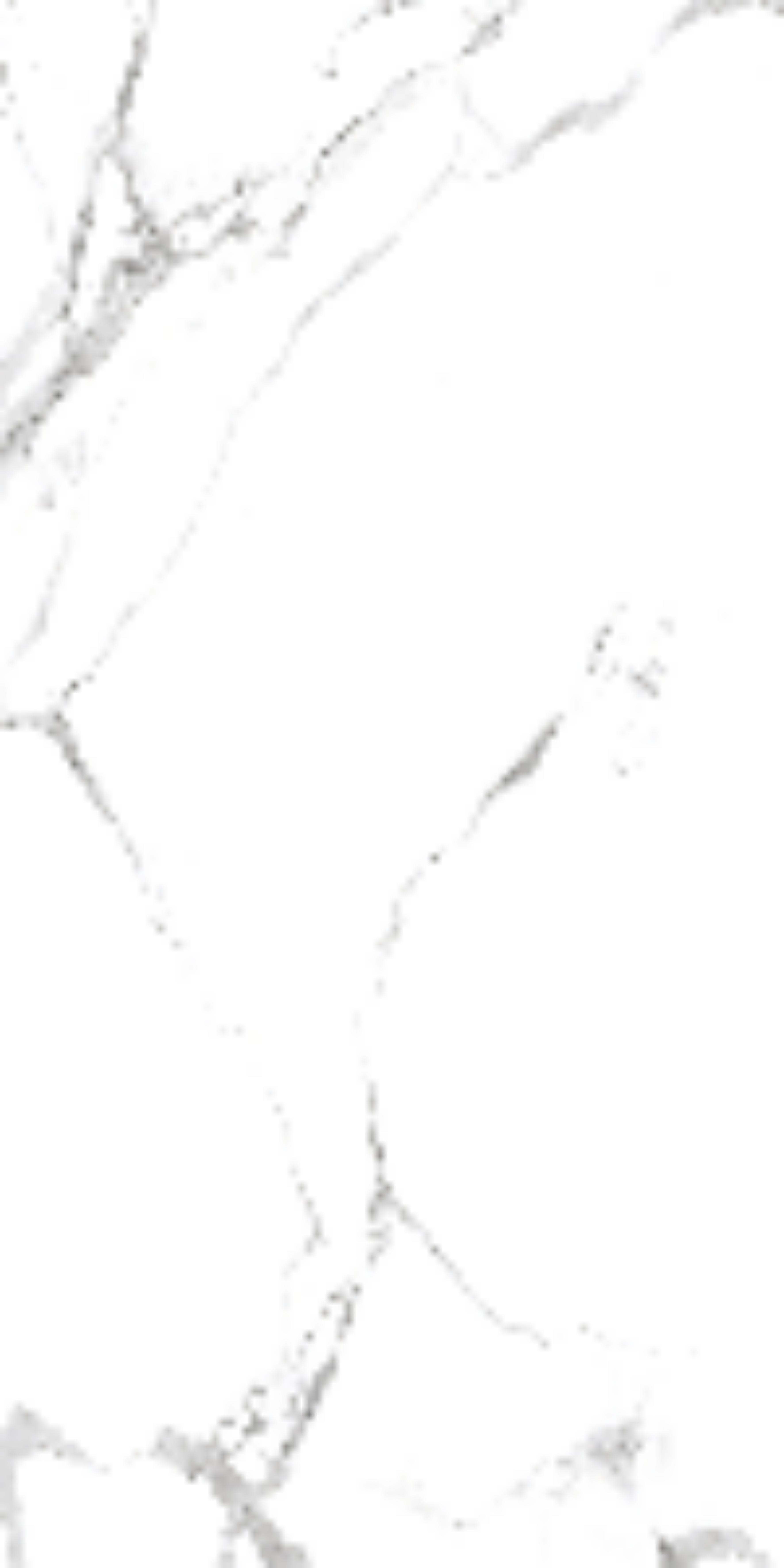 На пол Cerrad Statuario Cerrad Statuario 60x120 - фото 3