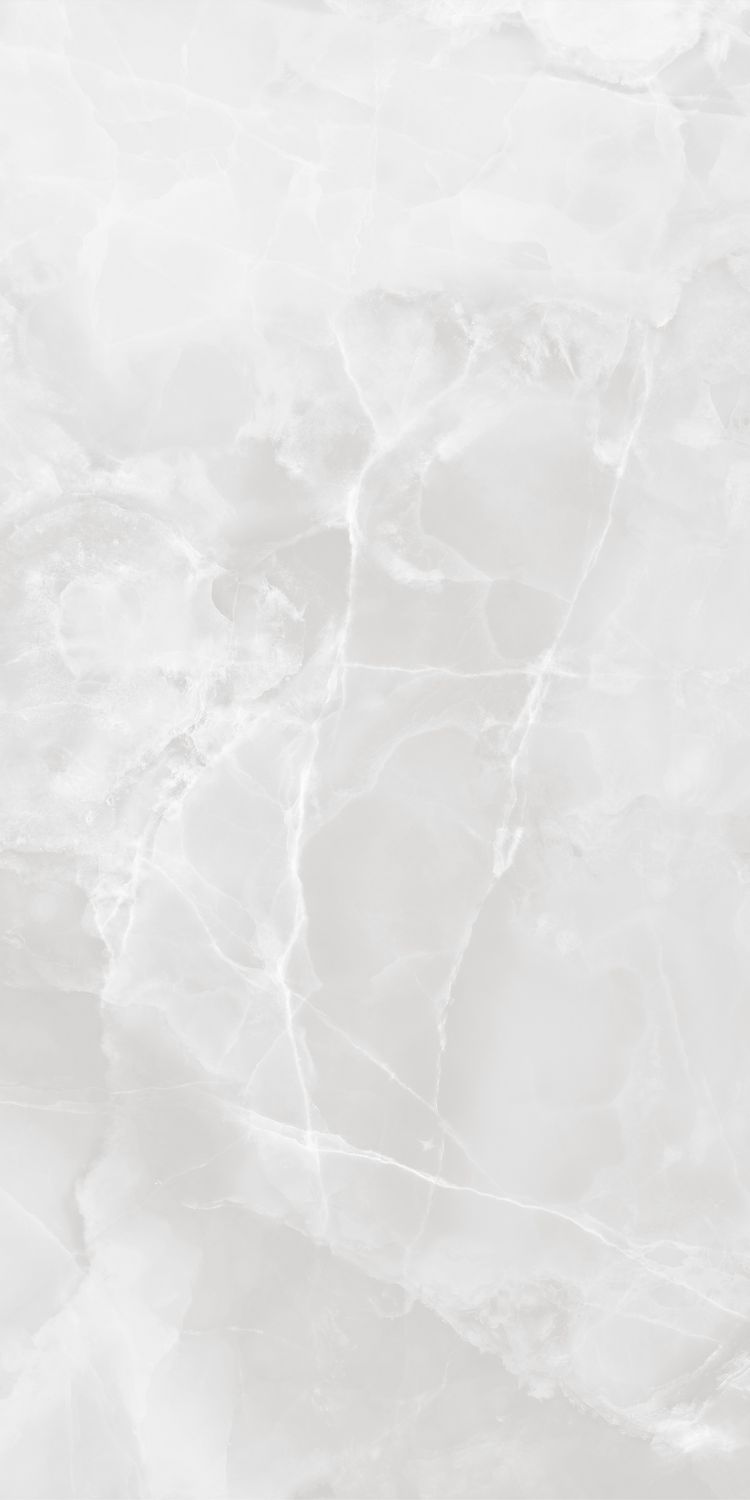 GT1206010703PR На пол Favorito Белый 60x120 - фото 5