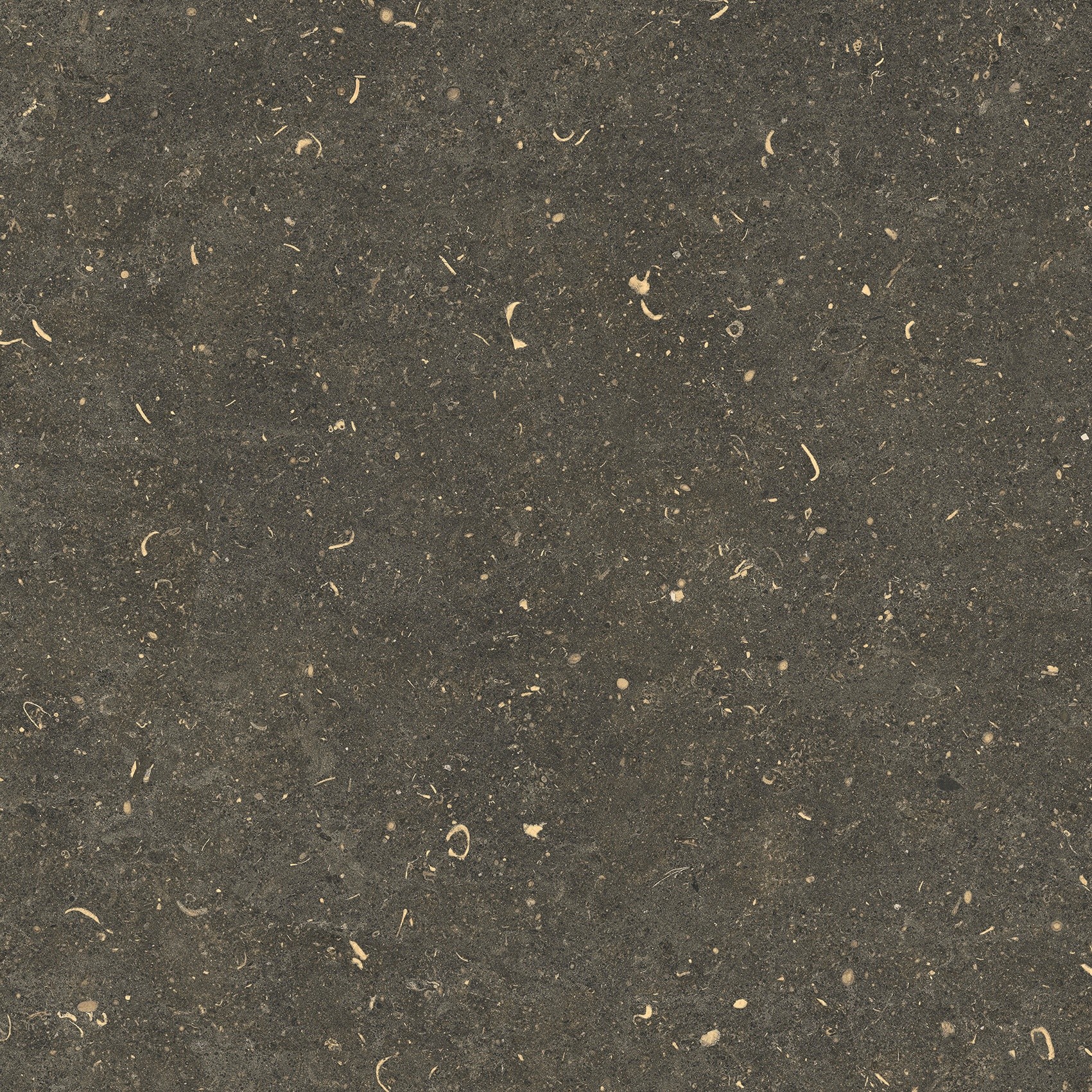 785487 На пол Rinascenza Arena Platino Matte 60x60 - фото 10