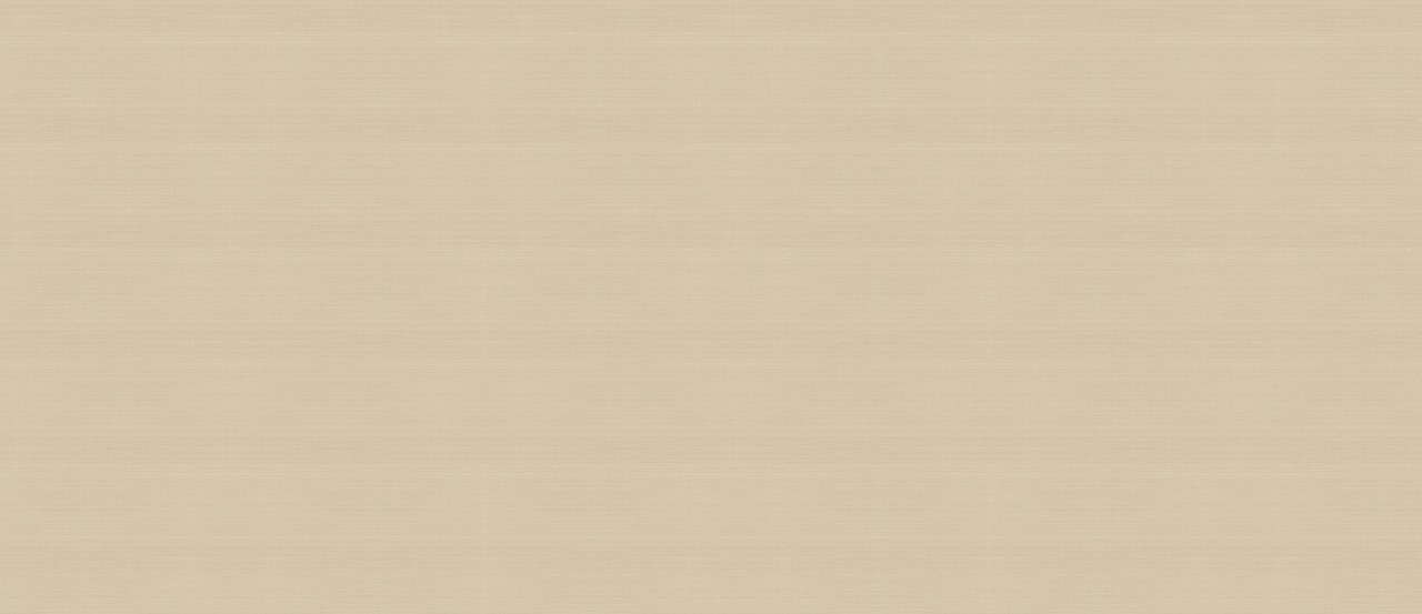 HCH3 На стену Vest Ecru Matt 6mm 120x278