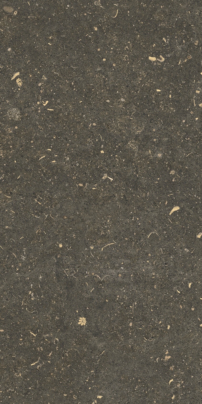 785503 На пол Rinascenza Arena Platino Grip 30x60 - фото 9